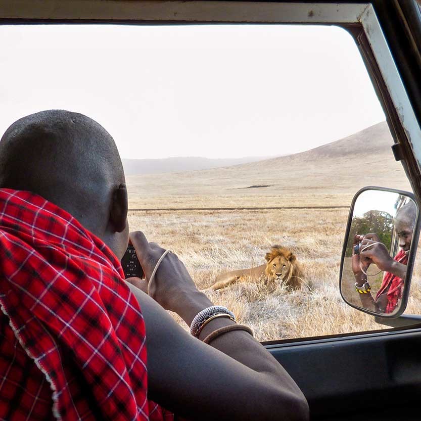 Conservation Officer Roimen photographing Gene pool male in the Ngorongoro Crater.