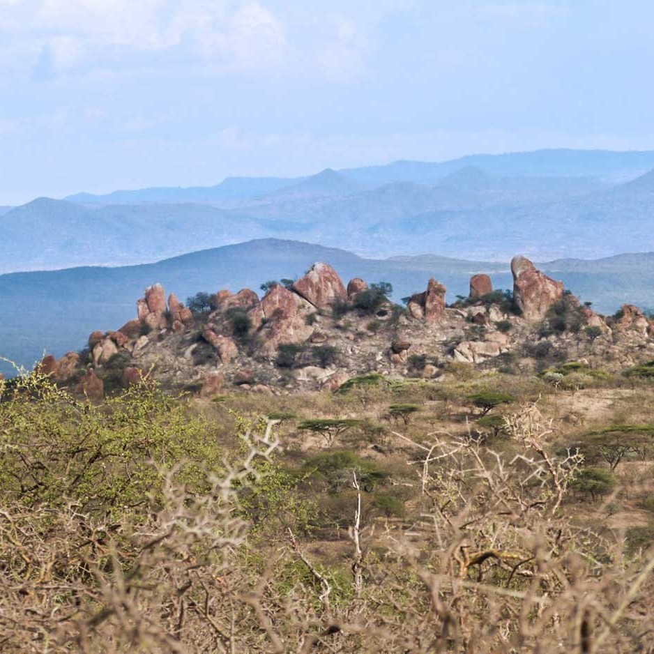 A less visited part of Ngorongoro is the rugged terrain along the Lake Eyasi escarpment with its scenic rocky outcrops and knobbly Commiphora trees.