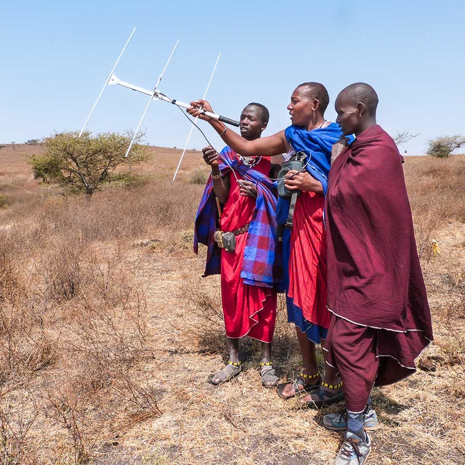 KopeLion scouts tracking lions in Ngarusi valley.