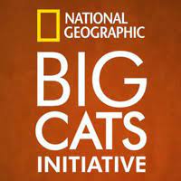 National Geographic Big Cats initiative National Geographic Big Cats initiative