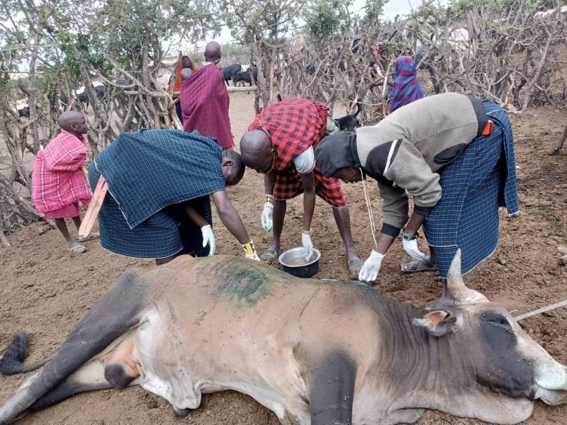 Wound treatment training at Kakesio.