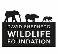 David Shepherd Wildlife Foundation logo