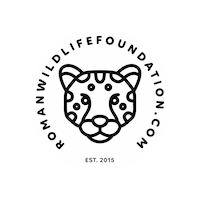 logo-RWF